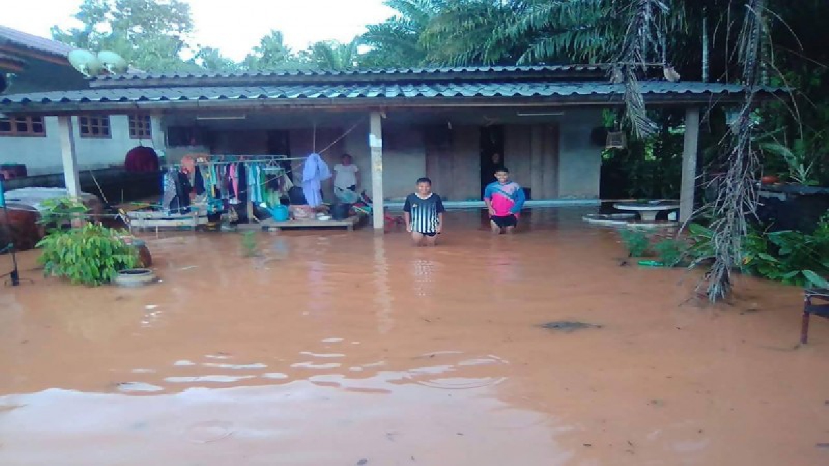 มาไม่ทันได้ตั้งตัว!! ฝนตกหนัก ทำน้ำป่าไหลหลากเข้าท่วม ตำบลรับร่อ อำเภอท่าแซะ บ้านเรือน-ทรัพย์สินเละ..