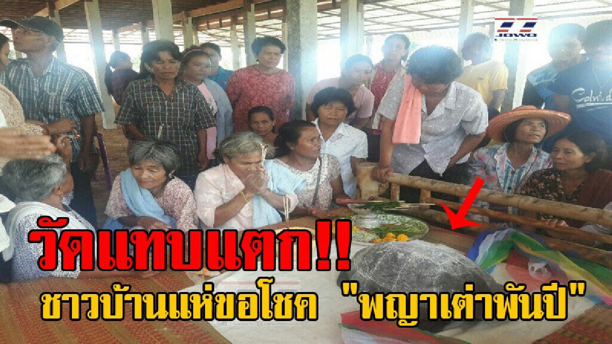 ฮือฮาวัดแทบแตก!? ชาวเมืองช้างแตกตื่น แห่ขอเลขเด็ด "พญาเต่าพันปี" หลังมีคนจับได้และนำมาถวายวัด เห็นชัดๆกันทั่วหน้า ลั่นแรงงวดนี้มาแน่!!