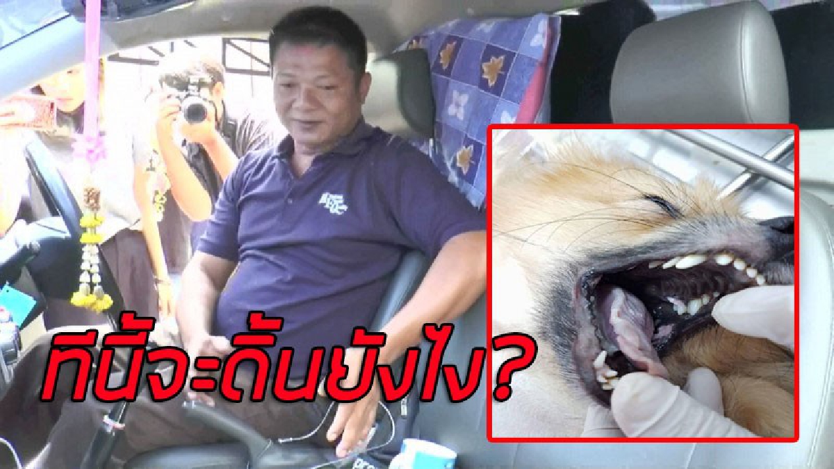 โผล่..พยานปากสำคัญ!! มาฟังชัดๆ..คนขับรถขนส่งสุนัขยันชัด "หนุ่มนศ.แพทย์ เป็นคนป้อนยาสุนัขระหว่างทาง" (มีคลิป)