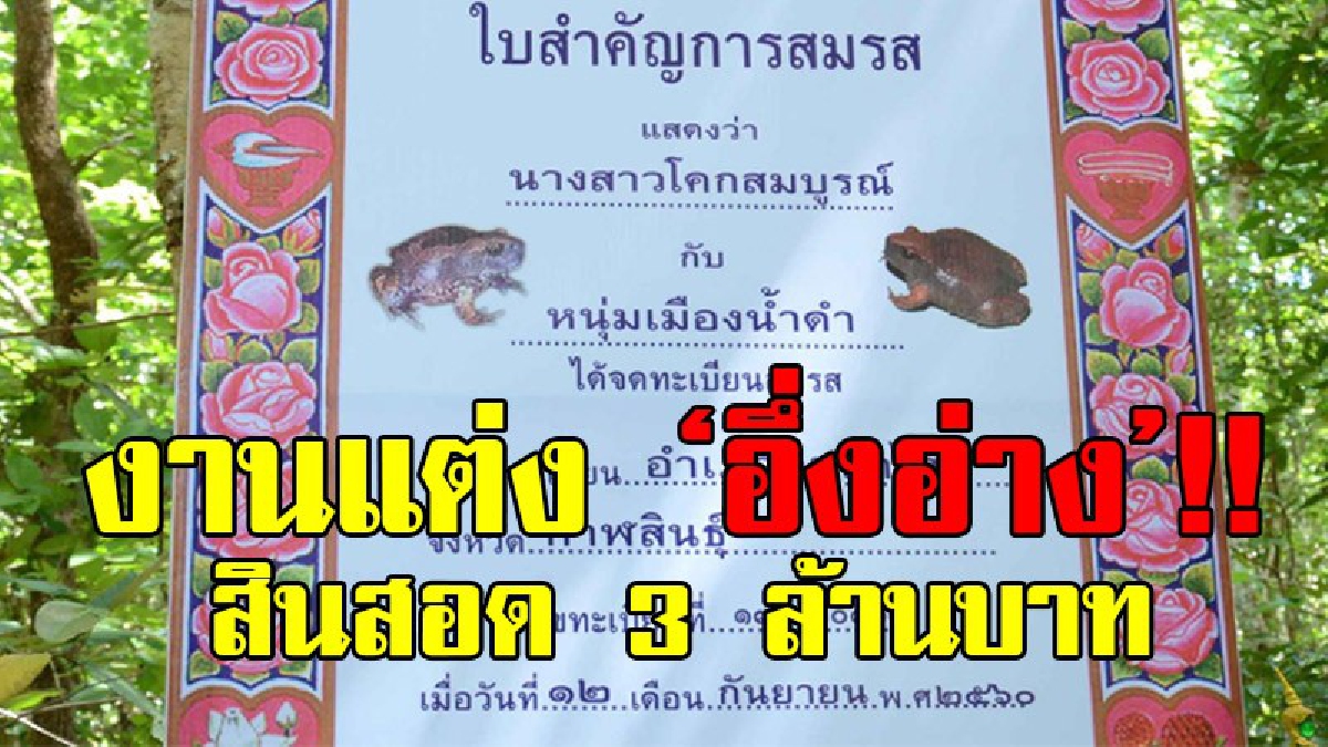 งานแต่งสุดแสนตะลึง!? จัดพิธีมงคลสมรส อึ่งอ่าง เงินสินสอด 3 ล้านบาท ทองคำหนัก 10 บาท จัดงานแต่งเหมือนคนทุกอย่าง ทำเอาอึ้งกันทั้งบาง!?