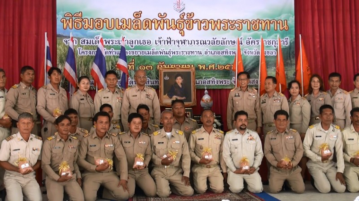 สงขลา!! จัดพิธีมอบเมล็ดพันธุ์ข้าวพระราชทาน ในโครงการจัดทำแปลงขยายเมล็ดพันธุ์พระราชทาน อำเภอสทิงพระ (มีคลิป)