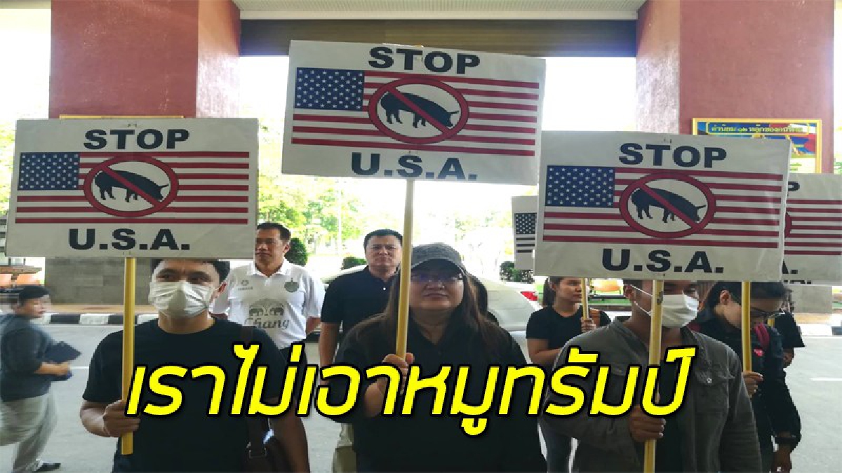 ไม่เอาหมูทรัมป์!! สมาคมผู้เลี้ยงสุกรภาคเหนือ กว่า 100 คน บุกศาลากลางเชียงใหม่ ยื่นหนังสือต้านเนื้อหมูนำเข้าจากอเมริกา (มีคลิป)