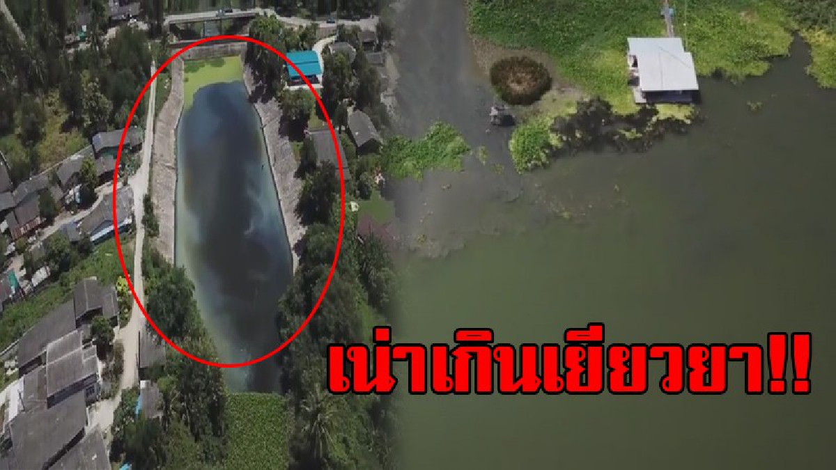 ได้โปรดช่วยที..เข้ามาแก้ไข!! ชาวบ้านวอนหน่วยงาน ช่วยแก้ปัญหาน้ำในคลอง เน่า ส่งกลิ่นเหม็น มานาน ต้องทนดมกลิ่นสุดแสบจะทรมานมายาวนาน!? (คลิป)