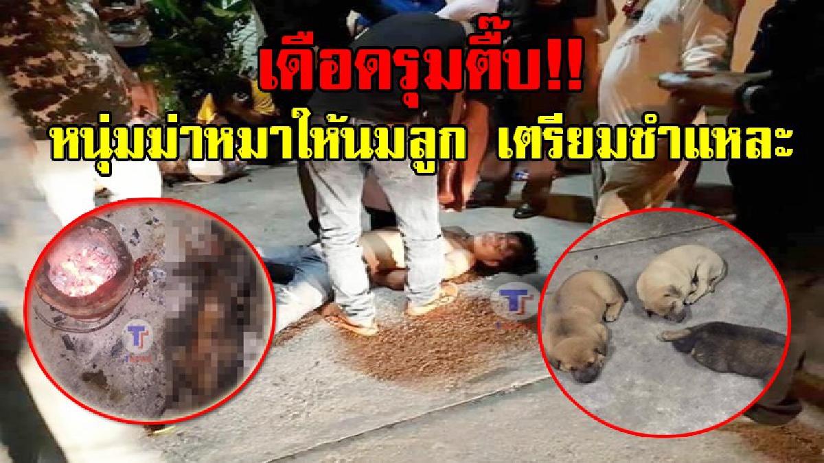ดีแล้วที่เอ็งแค่เจ็บ!! ชาวบ้านสุดแค้น หนุ่มเอาจอบทุบหัวหมาขณะให้นมลูก มาเผา เตรียมชำแหละ ชาวบ้านรุมประชาทัณฑ์ เละคาถนน!? (ชมคลิป)