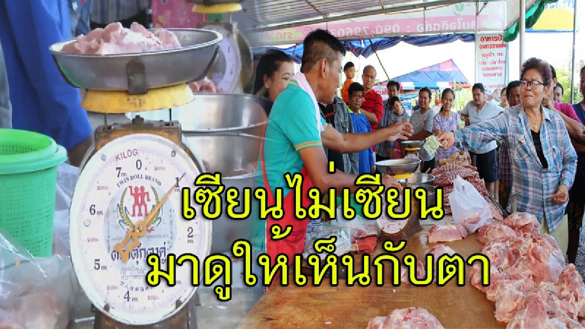 ไม่เป๊ะเอาไปกินฟรีได้เลย!! "เฮียเขียว"พ่อค้าหมูราชบุรีโชว์เฉือนหมู 1 กก.เป๊ะเวอร์ ท้าพิสูจน์..หากชั่งขาดให้กินฟรีนาน 1 เดือน (มีคลิป)