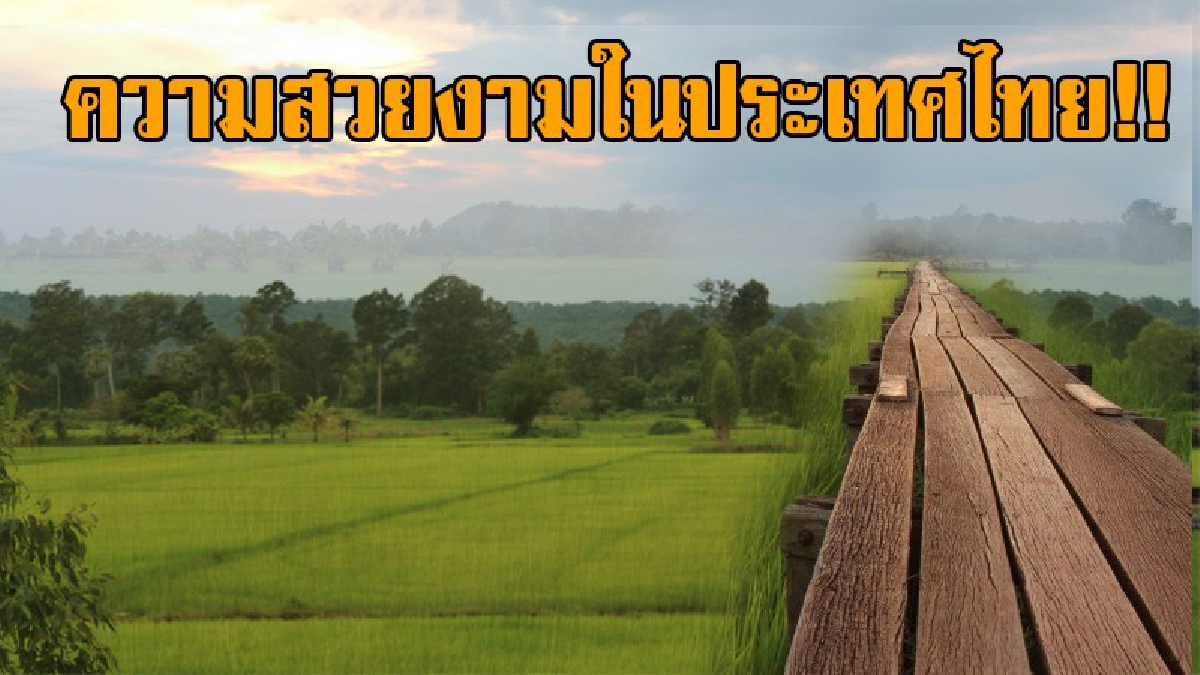 ความสวยงามหนึ่งเดียวในประเทศ!! ชวนแอ่วชม เก็บตะวัน ที่สะพานไม้ร้อยปีโคราช สัมผัสธรรมชาติท้องทุ่งยามเย็นสุดฟิน บอกเลยถ้าไม่ไปจะเสียใจ!?