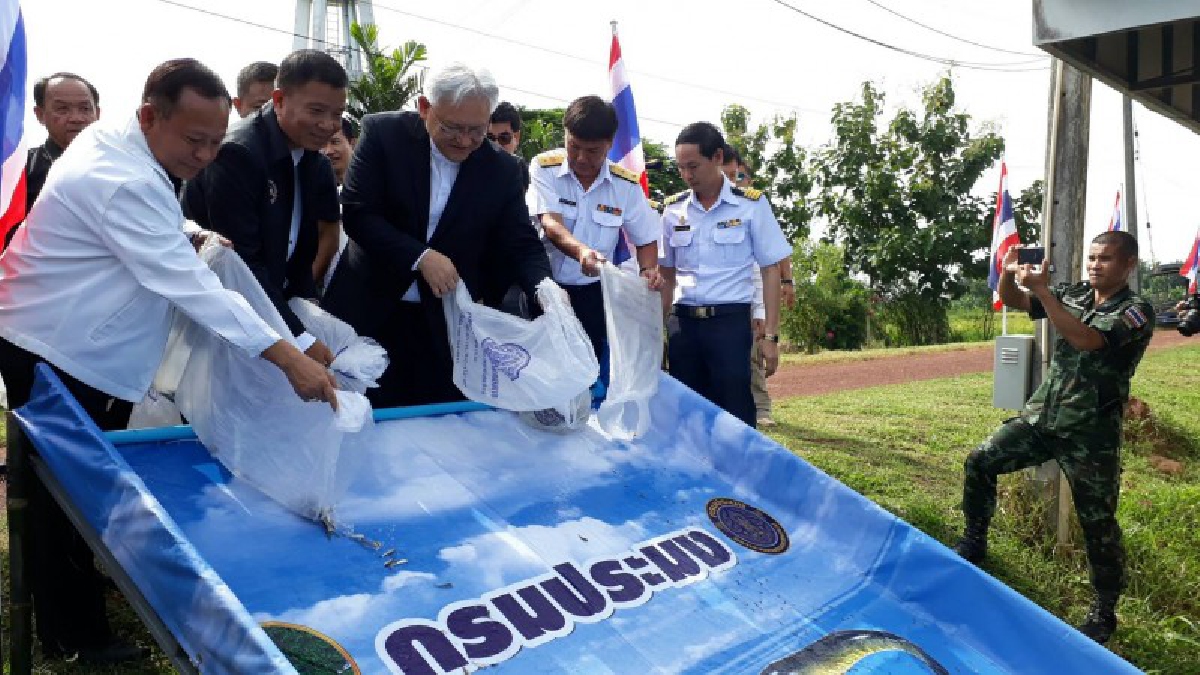 วอนงดจับสัตว์น้ำทุกชนิด!! จังหวัดหนองคายปล่อยปลา 5 แสนตัว เนื่องในวันประมงแห่งชาติ คืนสู่ธรรมชาติเพื่อคืนความอุดมสมบูรณ์อีกครั้ง!!