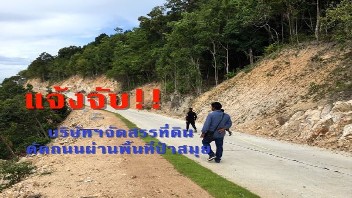 ต้องเอาให้เข็ด!! จนท.ป่าไม้แจ้งความดำเนินคดีกับบริษัทฯจัดสรรที่ดินบนเกาะสมุย ตัดถนนคอนกรีตขึ้นภูเขาผ่านพื้นที่ป่า