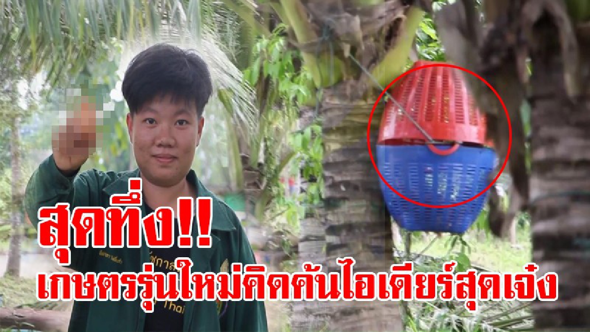 โคตรทึ่ง!! ทำเอาอึ้งกันสุดๆ ต้นมะพร้าวที่เราเห็นกันมีประโยชน์กว่าที่คิด ตอนนี้ช่วยสร้างรายได้มหาศาล หัวคิดสุดชิคของเกษตรกรรุ่นใหม่วัย 22ปี!?