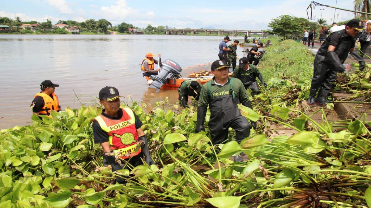 ผู้บัญชาการกองพลทหารราบที่ 4 นำชาว จ.กำแพงเพชร กว่า 1,200 คน พร้อมใจกันร่วมโครงการ จิตอาสาเราทำความดีด้วยหัวใจ (มีคลิป)