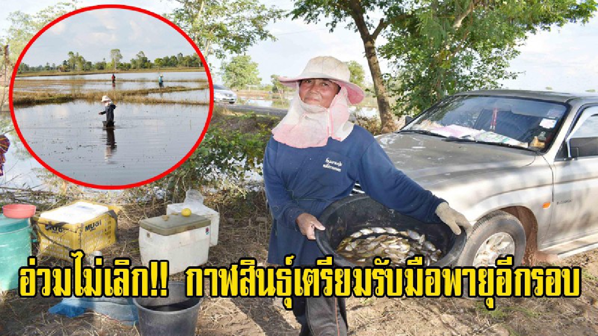 อ่วมไม่เลิก!! กาฬสินธุ์เตรียมรับมือพายุอีกรอบ หลังน้ำลดเร่งหาปลา ทำปลาร้านำไปแลกข้าว (มีคลิป)