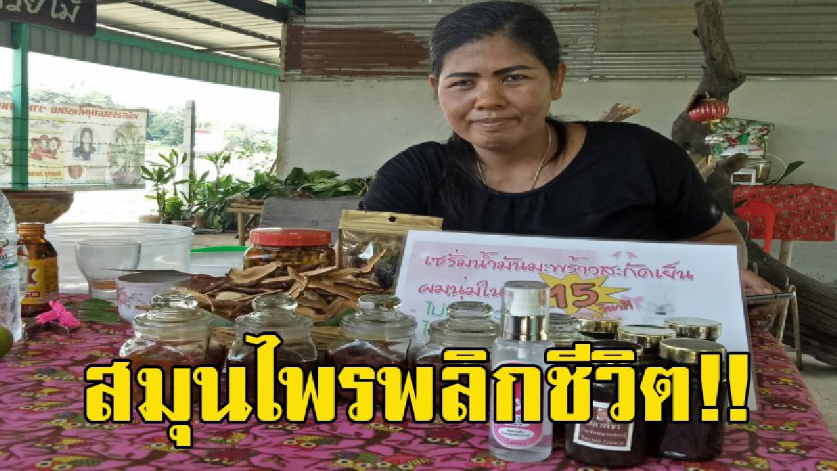 สาวใต้เมืองคอน!! สู้ชีวิต นำสมุนไพรพื้นบ้าน-ภูมิปัญญา แปรรูปสิ้นค้าจำหน่ายเป็นสิ้นค้าโอท็อป สร้างรายได้เลี้ยงครอบครัวกว่าเดือนละ 2 แสนบาท