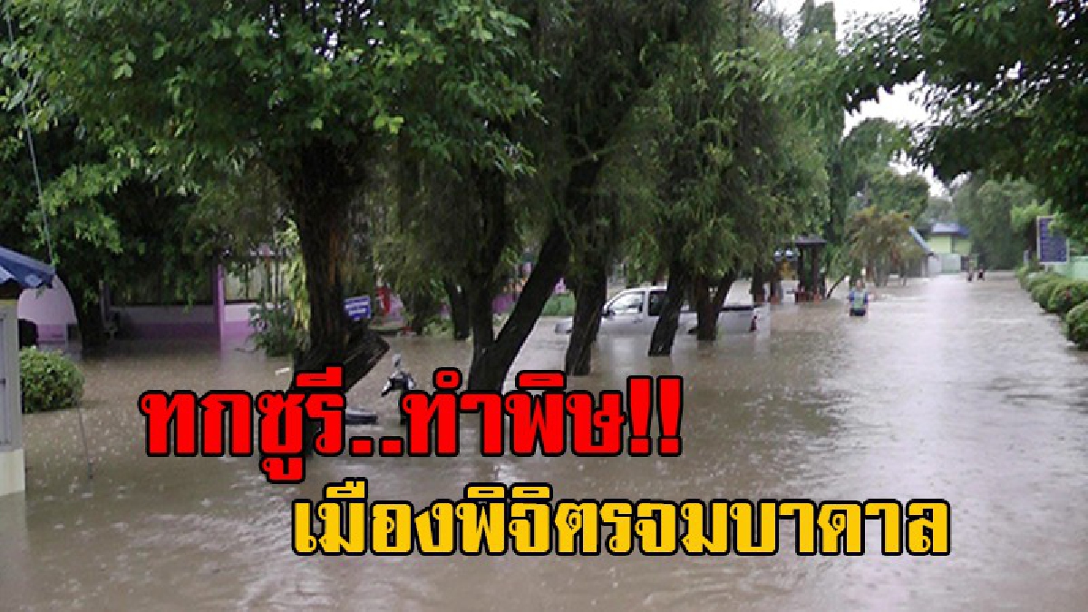 โดนหางเลขไปด้วย!! พิจิตรฝนตกหนัก นาน 10 ชั่วโมง น้ำท่วมทะลักเข้าที่ลุ่ม เขตชุมชนเมืองกศน.-สนง.เกษตรโดนไปเต็มๆ (มีคลิป)
