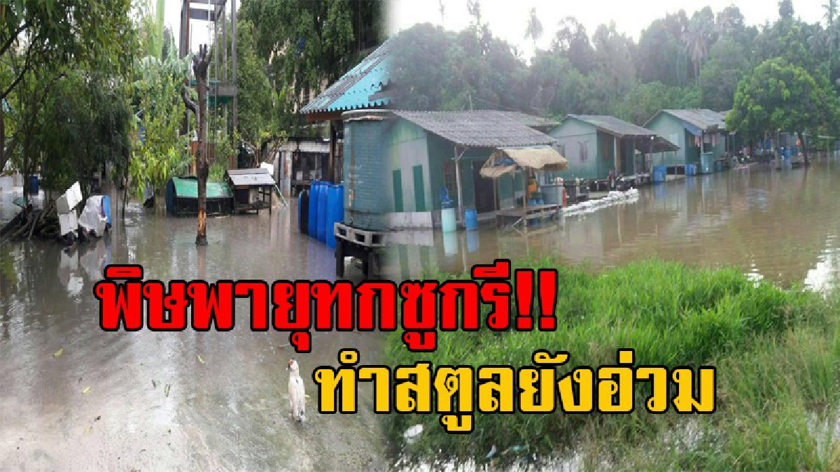 สตูลยังอ่วม!! น้ำท่วมไม่มีท่าทีลดระดับ หลังฝนจากผลกระทบ "พายุทกซูกรี" ยังตกต่อเนื่องทั้งวันทั้งคืน ชาวเลอูรักลาได้รับผลกระทบเป็นวงกว้าง