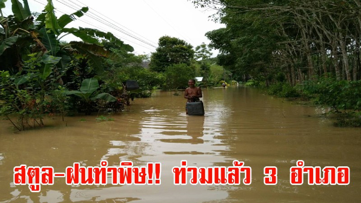 สตูล-ฝนทำพิษ!! ท่วมแล้ว 3 อำเภอ ในจังหวัดสตูล ปภ.เร่งสั่งการเฝ้าระวังมวลน้ำที่ล้นเต็มตลิ่งเสี่ยงอีก 4 อำเภอ ต้องเฝ้าระวังในขณะนี้