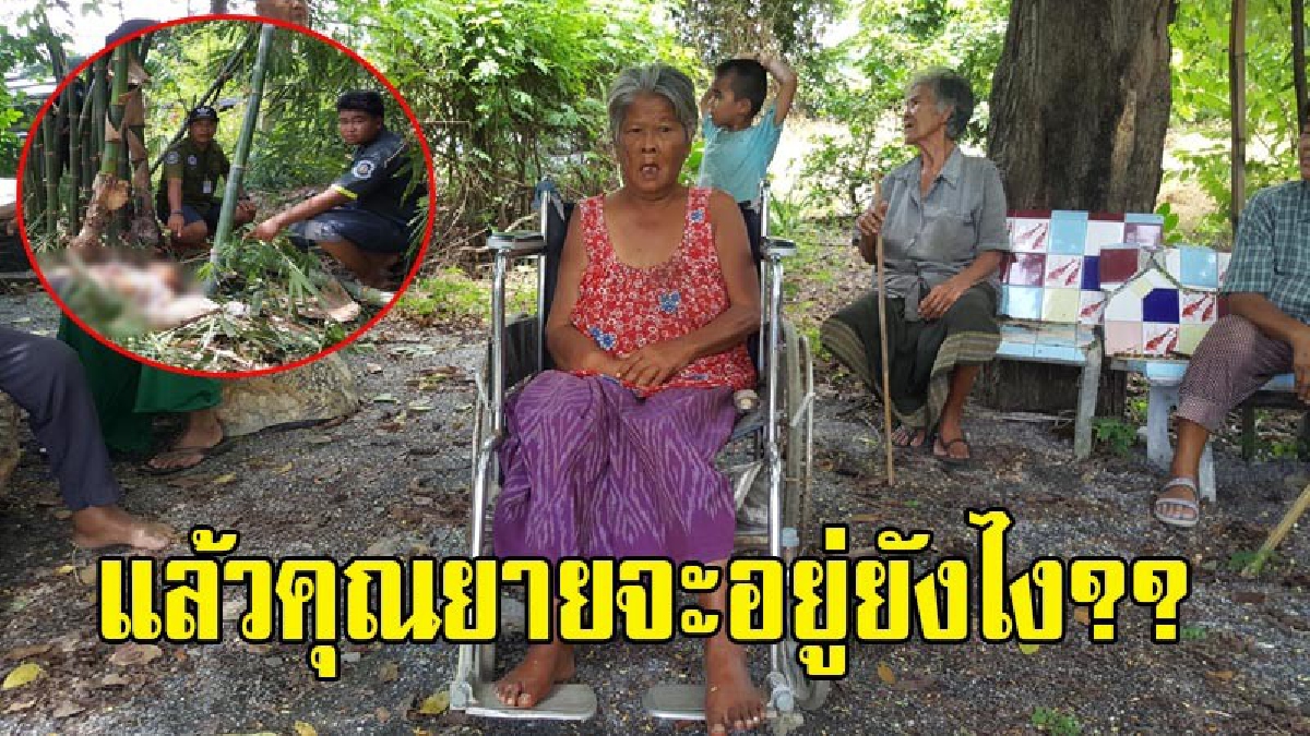แล้วคุณยายจะอยู่ยังไง?? คุณตาวัย72ปี รับจ้างตัดไม้สุดโชคร้าย ถูกไฟช๊อตเสียชีวิต ซ้ำภรรยาคู่ชีวิตป่วยเป็นอัมพฤกษ์ ช่วยเหลือตัวเองไม่ได้