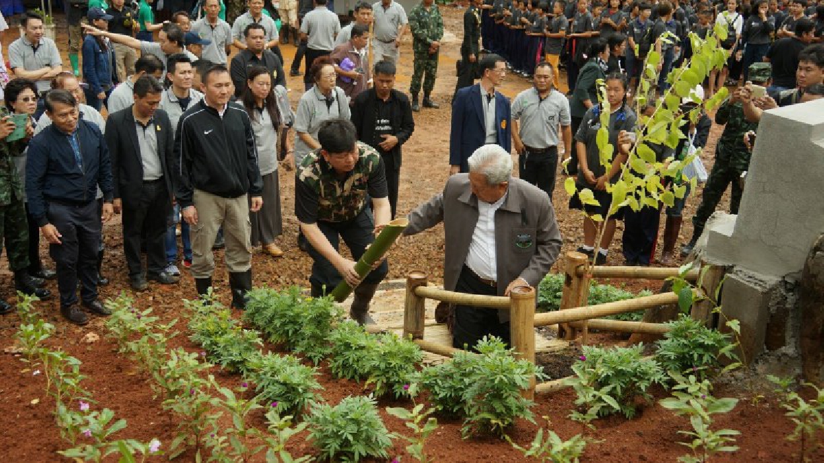 รำลึกในหลวง ร.9 สมาคมไทยหยูนหนานแห่งประเทศไทยร่วมปลูกต้นนางพญาเสือโคร่ง(ซากุระป่า)ถวาย