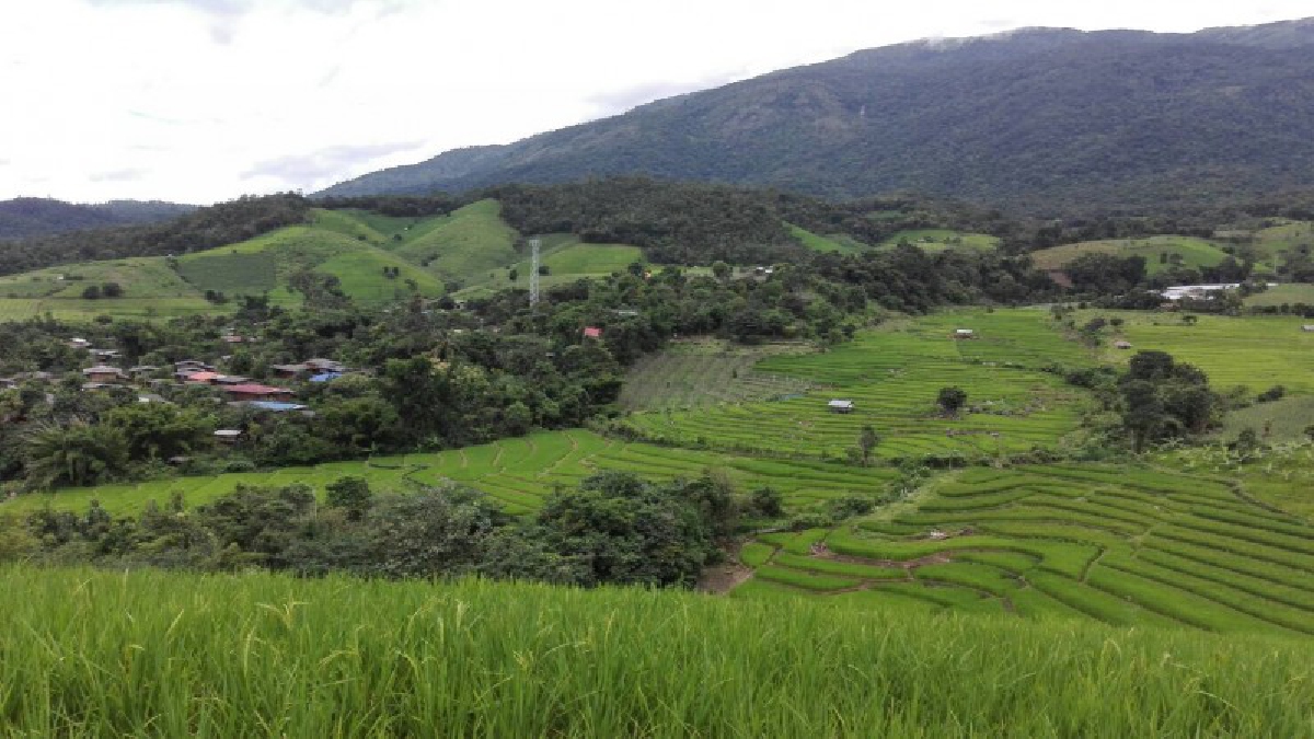 เชียงใหม่!! สุดยอดชุมชนสันดินแดง หมู่บ้านต้นแบบ อุทยานแห่งชาติดอยอินทนนท์ พัฒนาการบริหารราชการแบบมีส่วนร่วม (มีคลิป)