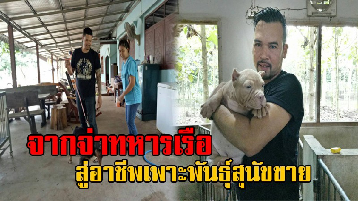 ทำมาหากิน!! อดีตจ่าทหารเรือ ผันตัวเองมาเพาะพันธุ์น้องหมา ขายเป็นธุรกิจ สร้างรายได้เป็นกอบเป็นกำ ตกเดือนละ 7 หมื่น - 3 แสนบาท (มีคลิป)