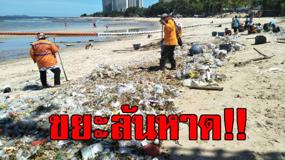 ยังคงเกลื่อนหาด!! นี่มันจะล้นหาดอยู่แล้ว ยังมีขยะเกลื่อนชายหาด โดยมีเจ้าหน้าที่เร่งเก็บกวาดกันมือระวิง วอน นทท.ช่วยกันอย่าทิ้งขยะ!! (คลิป)