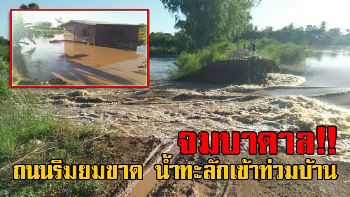 ระทึกหนัก!! ถนนริมยมขาด น้ำทะลักท่วมบ้านยางซ้ายเมืองสุโขทัย 2 หมู่บ้าน 40 หลังคา จมน้ำลึกเป็นเมตร ผู้สูงอายุติดเกาะ 5 ครอบครัว (มีคลิป)