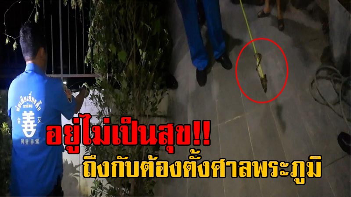 ยังรังควาญไม่เลิก!! งูเหลือมบุกบ้าน ผู้กองหนุ่มไม่เลิกรา ล่าสุดพบลูกงูเหลือมโผล่ในบ้านอีก เผยเตรียมตั้งศาลพระภูมิ เพื่อแก้เคล็ดและคุ้มครอง!?
