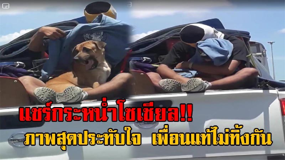 เราจะไม่ทิ้งกันนะเจ้าตูบ!!แชร์กระฉ่อน ภาพความประทับใจท้ายรถกระบะ หนุ่มใจหล่อ หยิบเสื้อมาคลุมตัวสุนัข เพื่อกันแสงแดด พร้อมโอบกอดด้วยความรัก!?