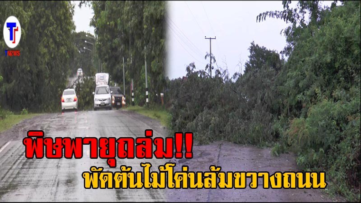 สุดระทึก!! พายุฝนกระหน่ำเมืองบุรีรัมย์ ต้นไม้ล้มทับรถกลางทาง ขณะกำลังขับรถเดินทางไปทำงาน แถมปิดทางการสัญจรหลายหมู่บ้าน (มีคลิป)