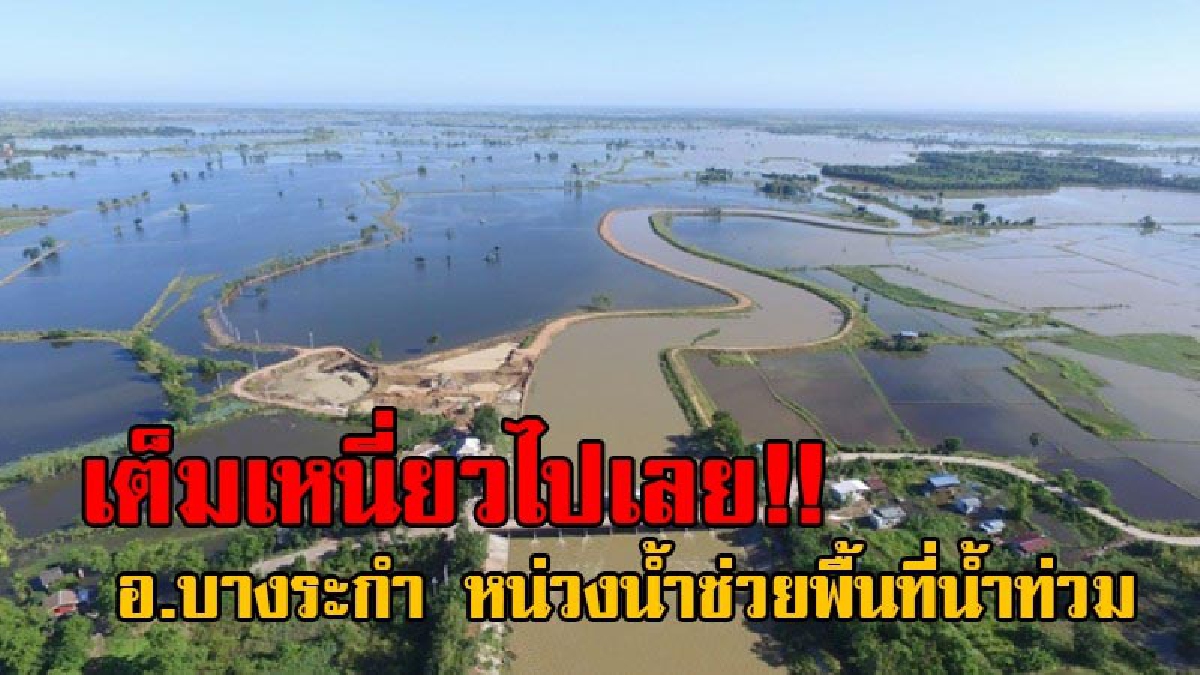 จัดเต็มมาเลยพี่น้อง!! มวลน้ำสุโขทัย มาถึงพิษณุโลก อ.บางระกำ เก็บน้ำเต็มทุ่ง หน่วงน้ำช่วยพื้นที่ ประสบปัญหาน้ำท่วมตอนล่าง (มีคลิป)