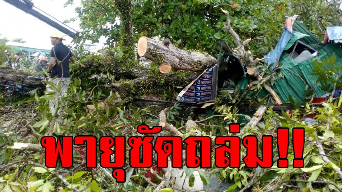 พิษพายุถาโถม!? ลมพายุพัดต้นไม้ ล้มทับร้านค้า สายไฟขาด เสาไฟล้มเสียหาย จนทำให้ไฟดับชั่วคราว หวั่นเกิดอันตรายกับชาวบ้าน!? (คลิป)