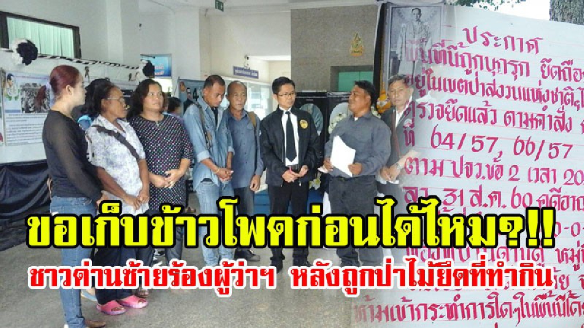 ขอล่ะ..เห็นใจกันหน่อย!!ชาวด่านซ้าย เดือดร้อนหนัก โร่ร้องผู้ว่าฯ หลังคสช.สั่งการ ให้กรมป่าไม้ยึดที่ทำกิน ลั่นขอเก็บข้าวโพดใช้หนี้ก่อนได้ไหม!?