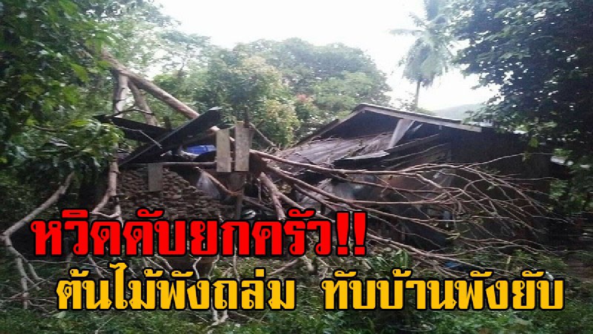 แทบหยุดหายใจ!? สุดช็อก พายุถล่มหนัก พัดต้นไม้ใหญ่ ล้มทับบ้านชาวประมงเกาะศรีบอยา พังยับขณะ 4พ่อแม่ลูกนอนอยู่ หวิดเละกลายเป็นศพ (คลิป)