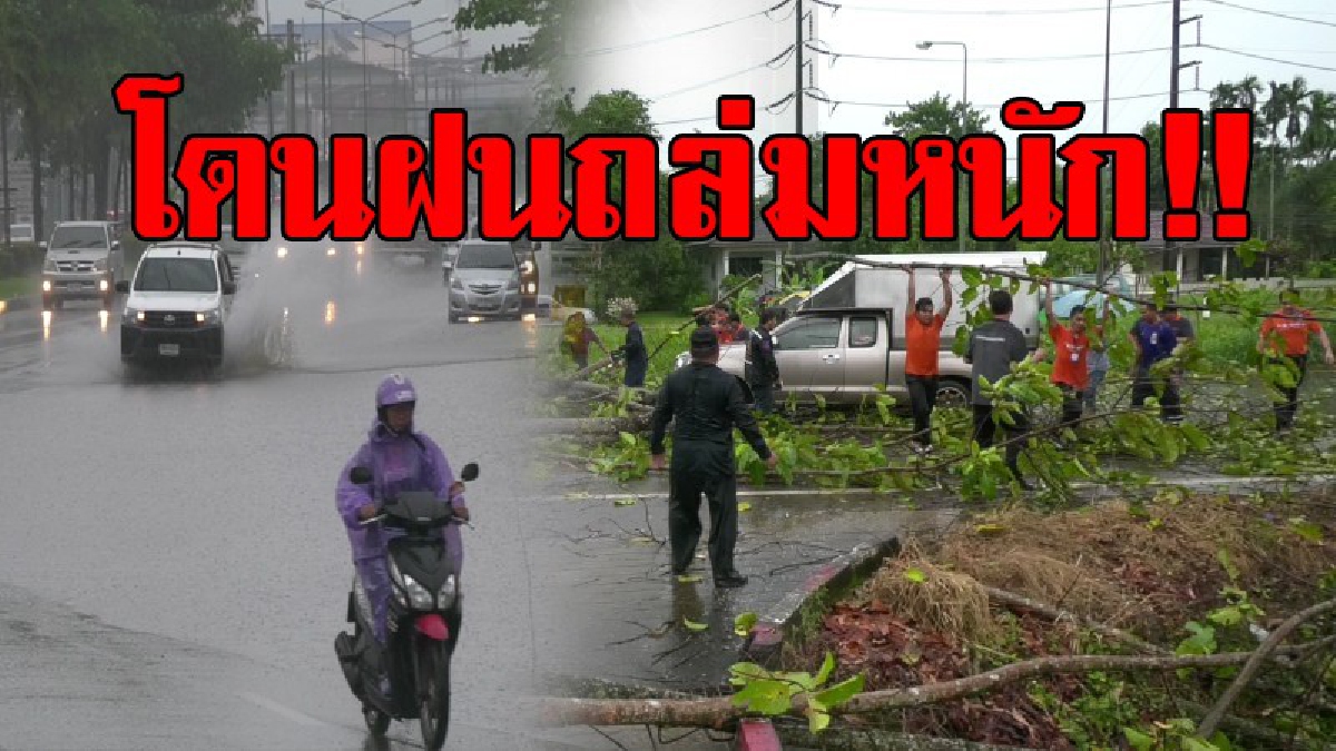 พายุฝนถล่มเมืองตราด!! ฝนตกหนักทั้งเมือง พัดต้นไม้ล้มทับรถยนต์ขนส่งชื่อดังพังทำเอารถติดยาว ขณะถนนหลายช่วงท่วมหลังระบายน้ำไม่ทัน!?