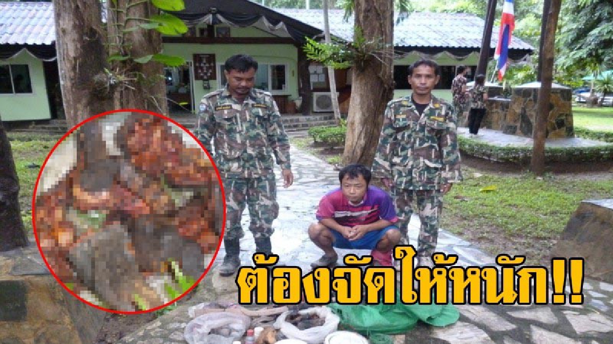 คาหนังคาเขา!! อช.ไทรโยค รวบพรานกระเหรี่ยงล่าสัตว์ป่า ก่อนยึดซากตะกวดที่ถูกย่างไฟ พร้อมอาวุธปืน อ้างขายพ่อค้างานง่ายได้เงินมาก!?