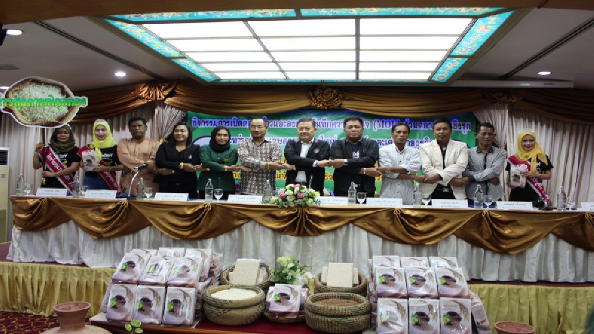 สหกรณ์นราธิวาส จัดพิธีลงนามข้อตกลงความร่วมมือ MOU ซื้อขายผลผลิตข้าวระหว่างผู้แทนเกษตรกรแปลงใหญ่นาข้าว ผู้ปลูกข้าว และเครือข่ายธุรกิจตลาดข้าว
