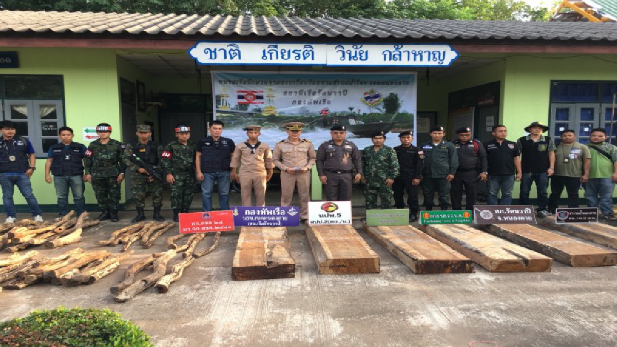 นรข.เขตหนองคาย สถานีเรือรัตนวาปี ตรวจยึดไม้หวงห้ามทั้งไม้พะยูงและไม้ประดู่ ขณะเตรียมส่งข้ามโขงไปประเทศเพื่อนบ้าน (มีคลิป)