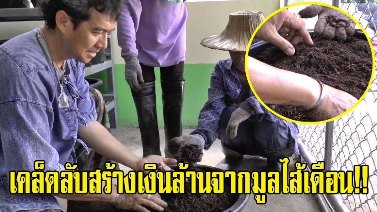 เคล็ดลับสร้างเงินล้าน!! เกษตรกรไทยผุดไอเดีย ต่อยอดการเลี้ยงใส้เดือนแอฟริกันเอคอร์เดอร์ นำมูลผลิตเป็นปุ๋ยอินทรีย์ส่งออก ทำง่ายรายได้งาม