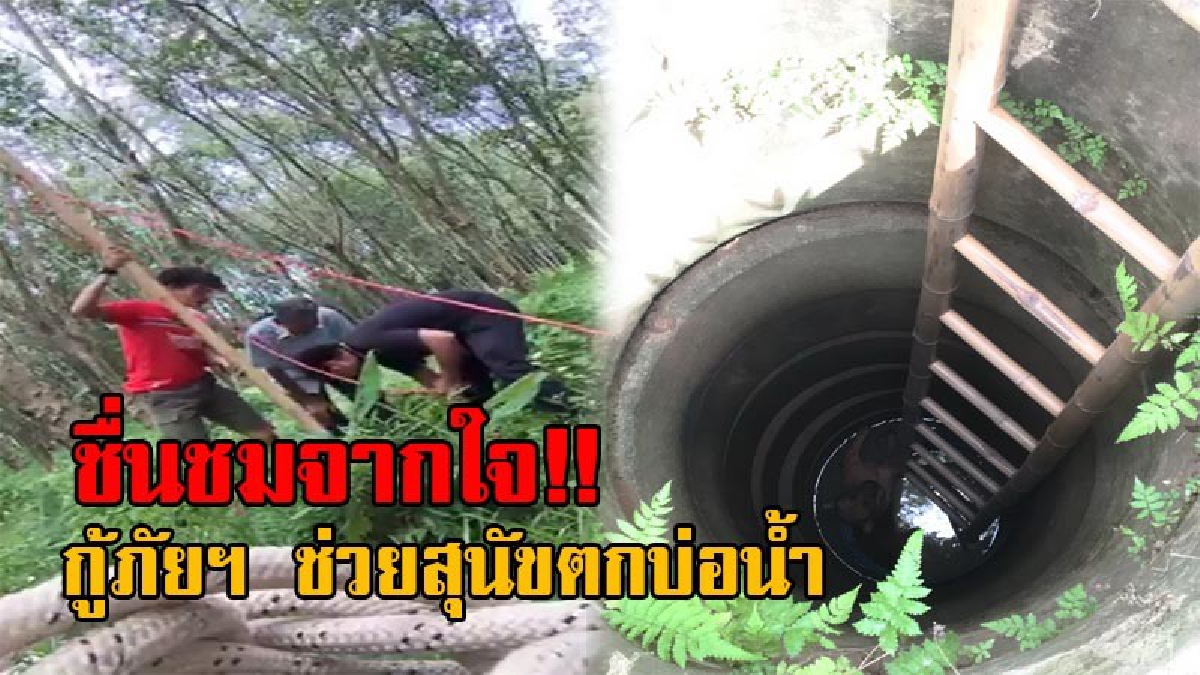 ทุกชีวิตมีค่า!! ชาวเน็ตแห่ชื่นชม กู้ภัยฯใจงาม ช่วยเจ้าตูบ ที่พลัดตกบ่อน้ำข้ามคืน หลังส่งเสียงร้องขอความช่วยเหลือ (มีคลิป)