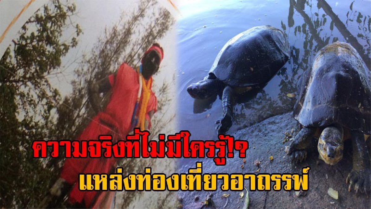 ไม่เชื่อก็ต้องเชื่อ!! ผุด “วังเต่า” แหล่งท่องเที่ยวสุดอันซีน มาพร้อมกับตำนาน ความเชื่อ และอาถรรพ์ ที่ผู้คนไม่เคยรู้ มานานกว่า 100 ปี!?