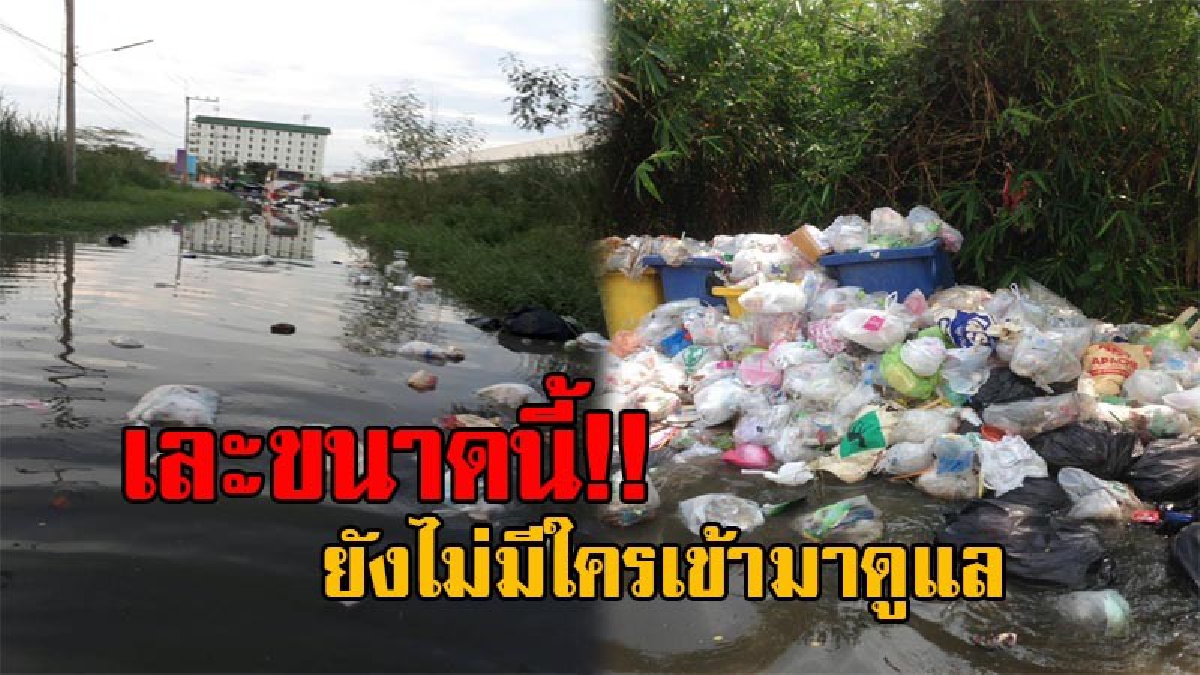 ไร้ความรับผิดชอบ!! น้ำท่วมขัง ในซอยคุณพระ ขยะลอยเกลื่อน ส่งกลิ่นเหม็นเน่า ไร้เจ้าหน้าที่เข้ามาดูแล ชาวบ้านหวั่นเกิดโรคที่ตามมา (มีคลิป)