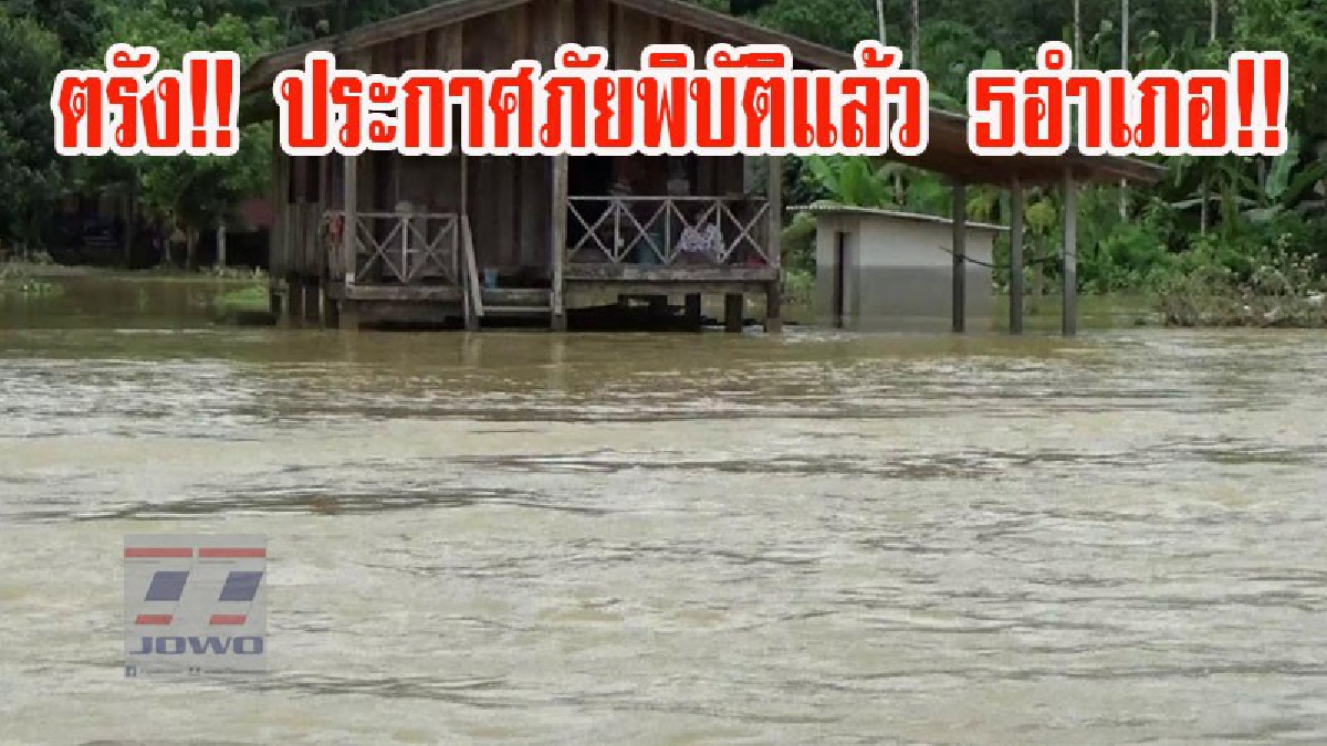 ตรัง!! ประกาศภัยพิบัติน้ำท่วมแล้ว 5 อำเภอ ขณะที่สองฝั่งแม่น้ำตรัง ซึ่งเป็นพื้นที่รับน้ำ เริ่มมีน้ำไหลท่วมบ้านเรือนชาวบ้าน (ชมคลิป)