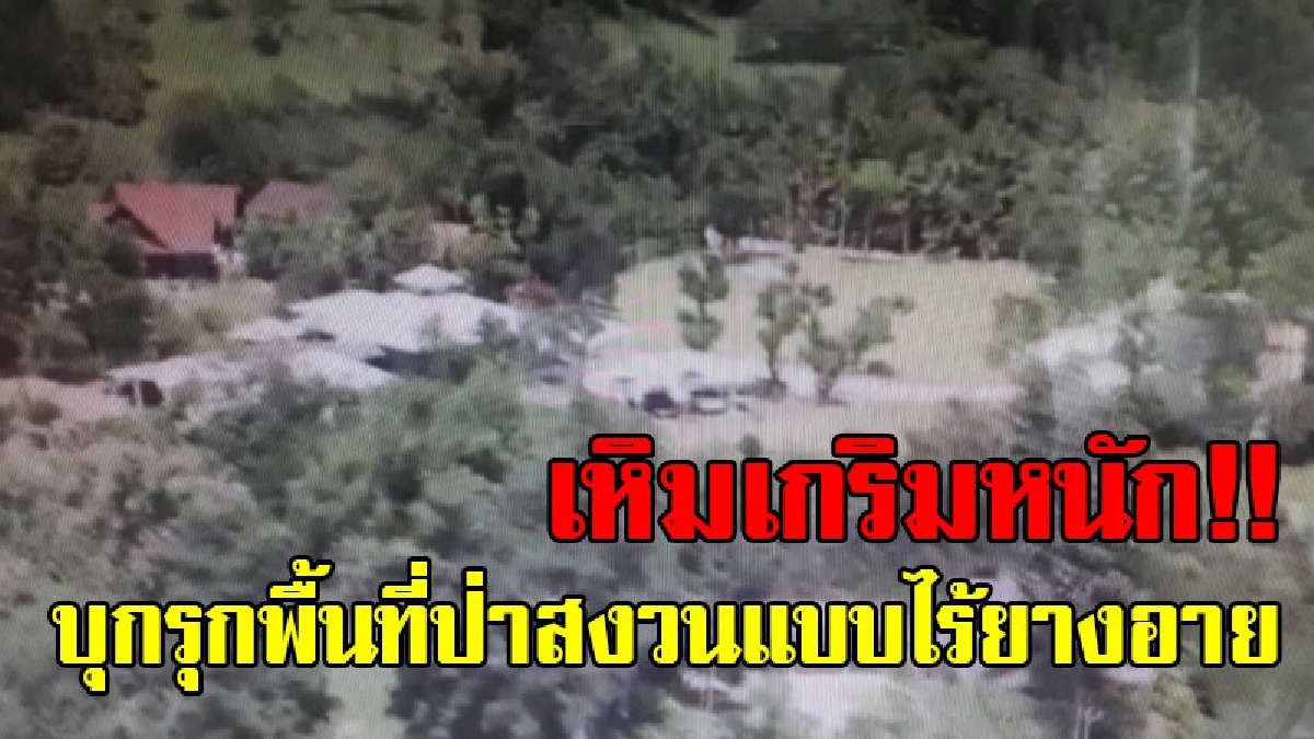 มันจะกล้าเกินไปแล้ว!? “หุบเขาไฮโซ” โดนบุกรุกป่าสงวนแห่งชาติ แบบเห็นชัด อธิบดีกรมป่าไม้ นำทีมตรวจสอบ พร้อมลุยจัดการซิปไลน์ผิดกฎหมาย!!