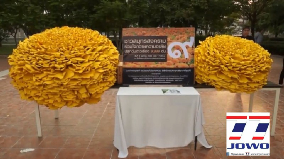 พวกเราทำด้วยใจ!! สมุทรสงครามจิตอาสาร่วมประดิษฐ์ดอกดาวเรืองยักษ์ 9 ดอก เพื่อถวายความอาลัยแด่ในหลวงรัชกาลที่ 9 เป็นครั้งสุดท้าย!? (คลิป)