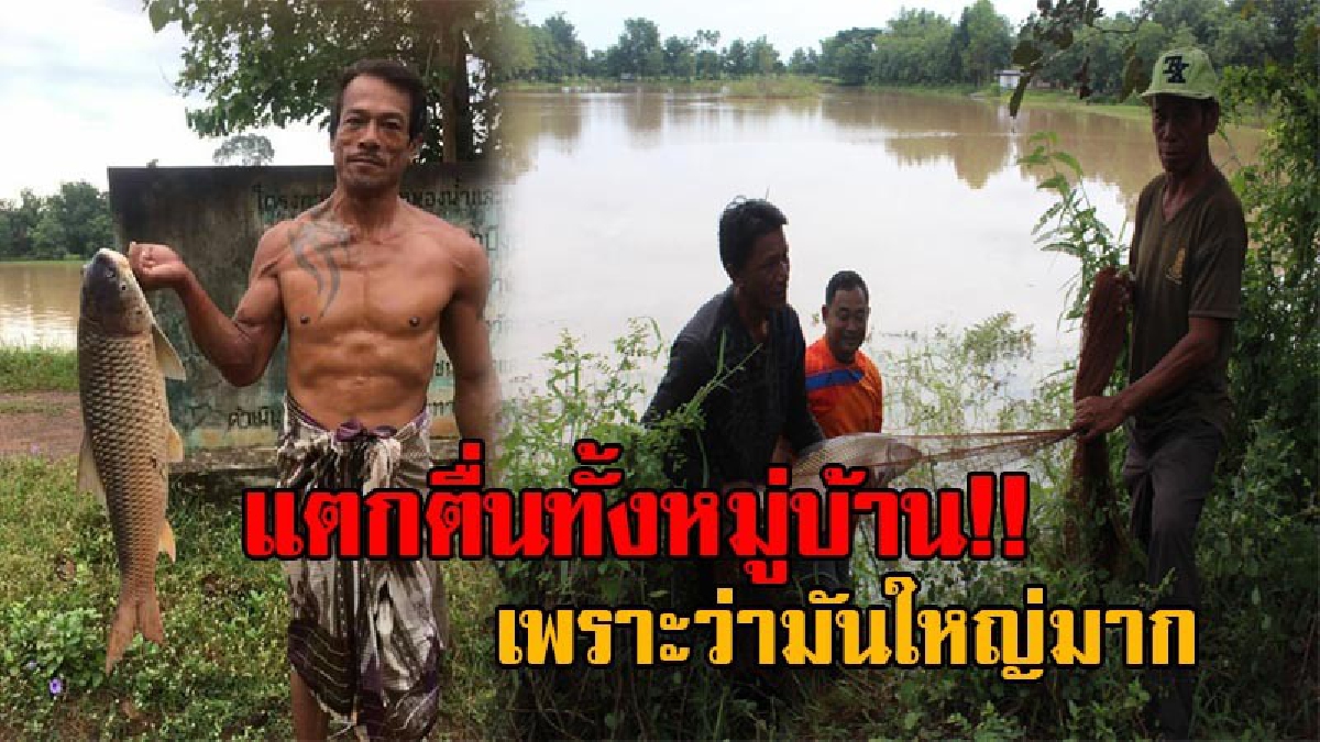 หมู่บ้านแทบแตก!! น้ำป่าทะลักลงอ่างเก็บน้ำกลางหมู่บ้าน ชาวบ้านแห่จับปลายักษ์ น็อคน้ำลอยคอ งานนี้แย่งกันจับได้เกือบตัน (มีคลิป)