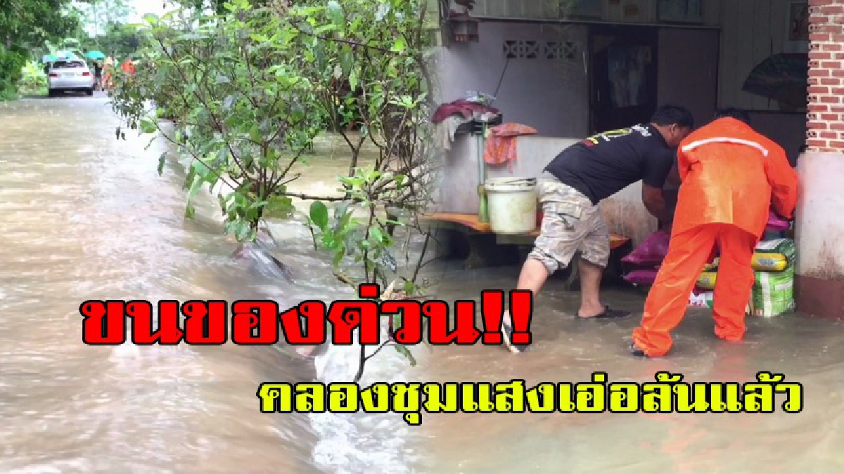ขนของด่วน !! ฝนตกไม่หยุด คลองชุมแสงน้ำเอ่อ ล้นตลิ่ง  เข้าท่วมบ้านแล้ว 1 หลัง ขณะชาวบ้านขนของขึ้นที่สูงแล้ว