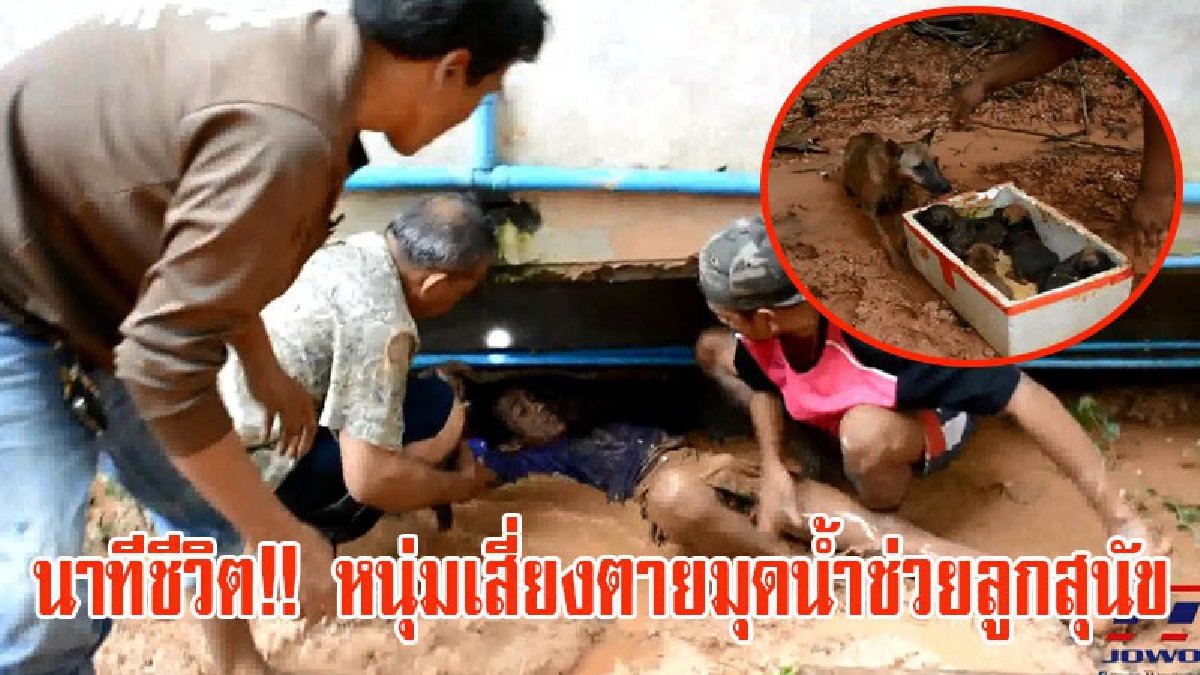 ลุ้นระทึก!! นาทีชีวิต..หนุ่มพนักงานทำความสะอาดตลาด เสี่ยงตาย มุดน้ำท่วมใต้คานฐานห้องน้ำกว่า 3เมตร ช่วยชีวิต ลูกสุนัขจมน้ำ (มีคลิป)