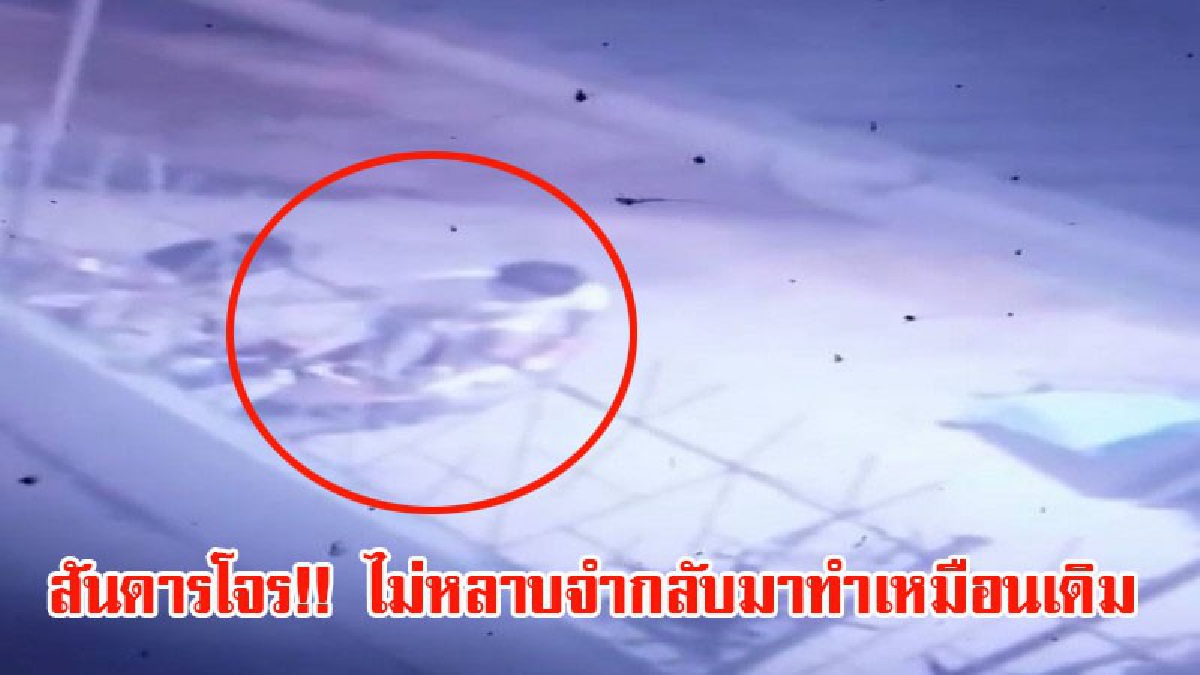 สันดารโจร!! โจรแสบเพิ่งพ้นโทษออกจากคุก กลับมาก่อเหตุขโมยรถ บริเวณเดิมเคยมีรถจักรยานยนต์หายนับสิบคัน (มีคลิป)