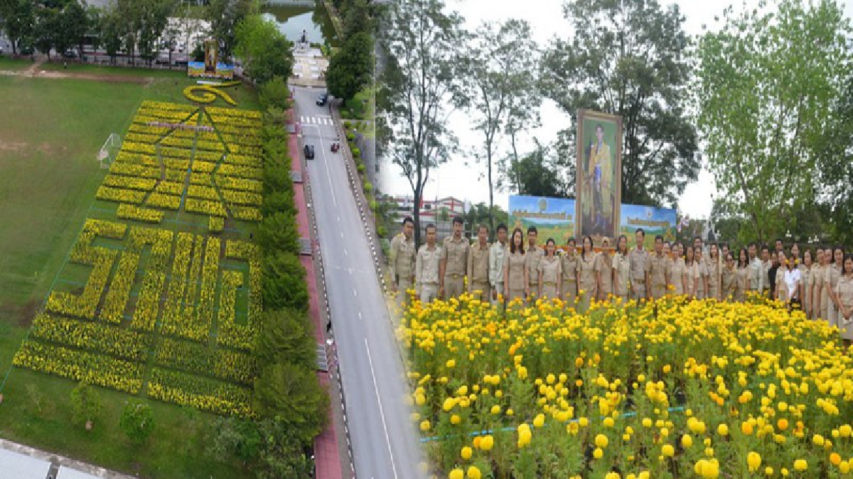 สำนึกพระมหากรุณาธิคุณ...สำนักจัดการทรัพยากรป่าไม้ที่12 ร่วมกับโรงเรียนเบญจมราชูทิศ แปรอักษร “รักพ่อ“ด้วยดอกดาวเรือง 40,000 ต้น