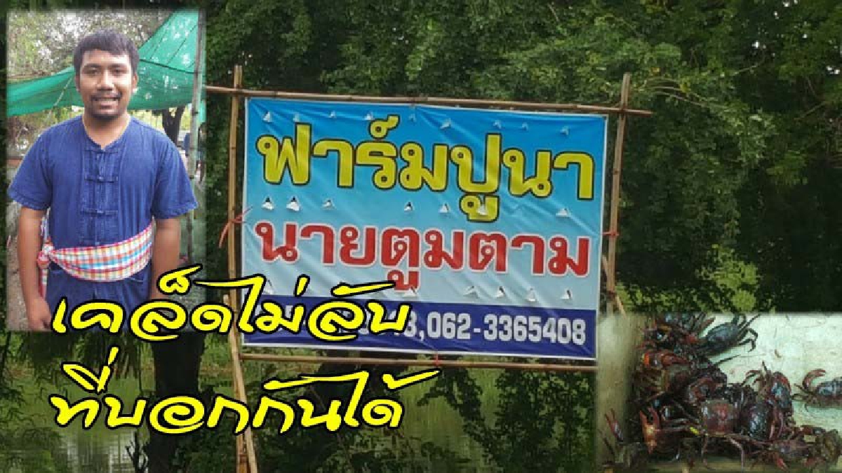 หนุ่มกตัญญู ลาออกจากงานประจำมาดูแลพ่อ ยึดอาชีพเลี้ยงปูนา ปรับการเลี้ยงแนวใหม่ สร้างรายได้มหาศาล จนแทบไม่เชื่อตัวเลขที่เห็น (ดูคลิป)