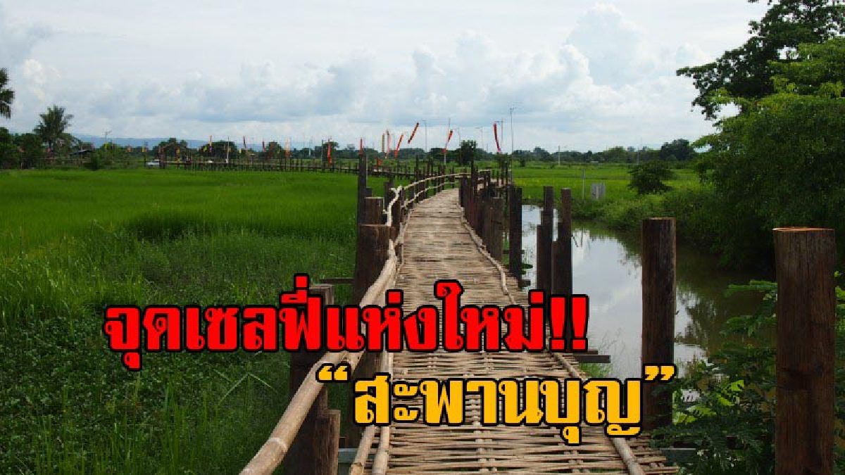 สะพานบุญ!! เส้นทางบุญสู่ วัดกู่แก้วโพธิญาณ ความยาว 300 เมตร ผ่านกลางทุ่งนา จุดถ่ายภาพแห่งใหม่ของ นทท.ที่ชอบธรรมชาติ (มีคลิป)